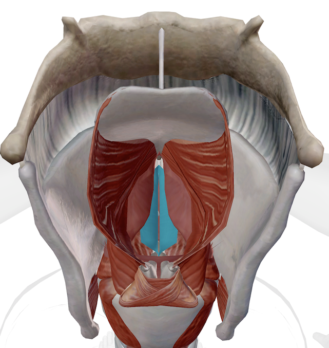 Syndrome d’adduction des cordes vocales